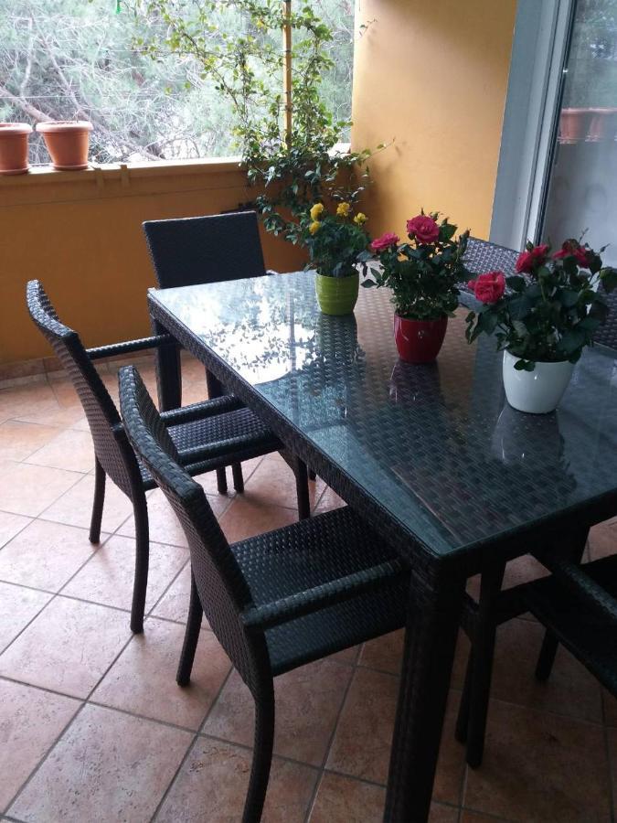 Apartman Lucica Zadar Exterior photo