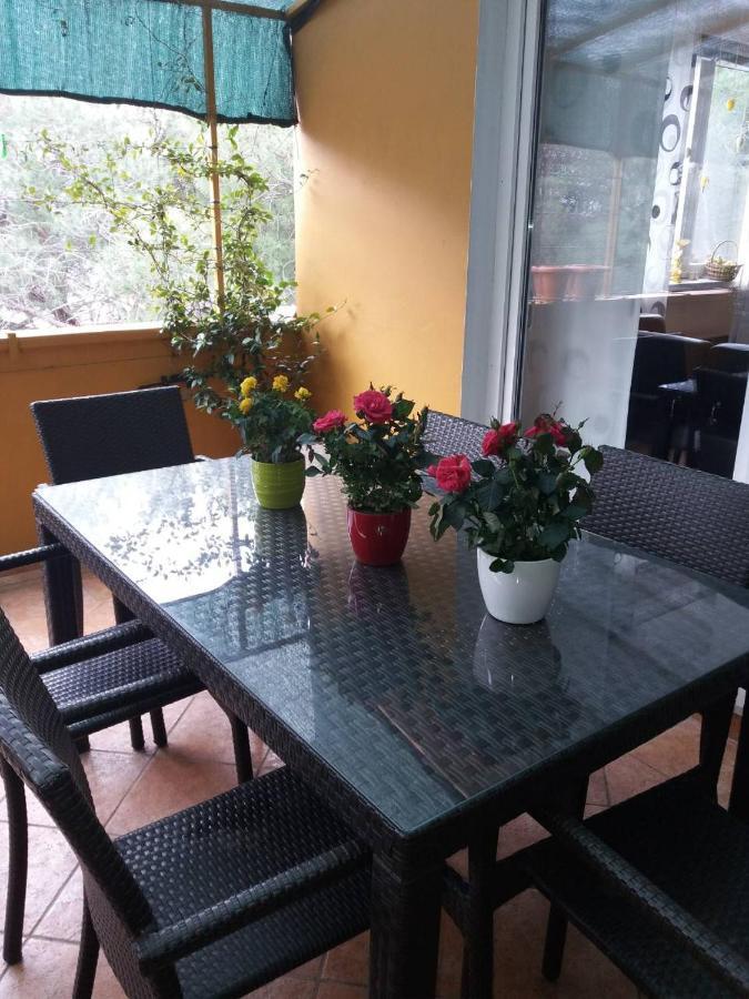 Apartman Lucica Zadar Exterior photo